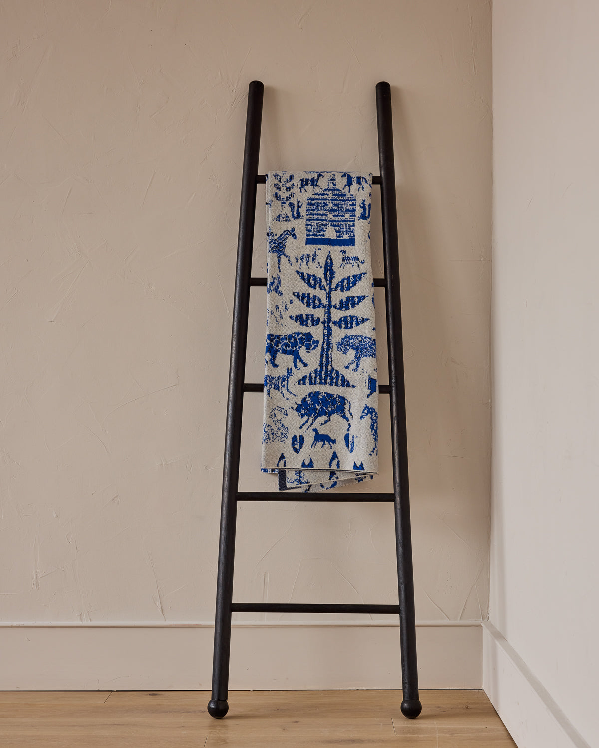 Black Bloak Ladder