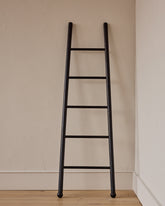 Black Bloak Ladder