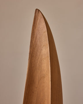 Wooden Sculpture
