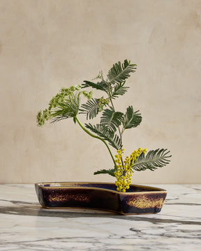 Curved Ikebana Dish